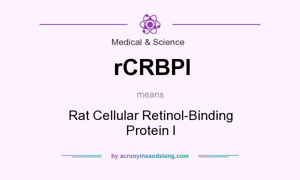 What does rCRBPI mean? It stands for Rat Cellular Retinol-Binding Protein I