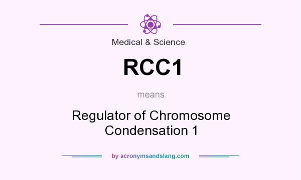 What does RCC1 mean? It stands for Regulator of Chromosome Condensation 1