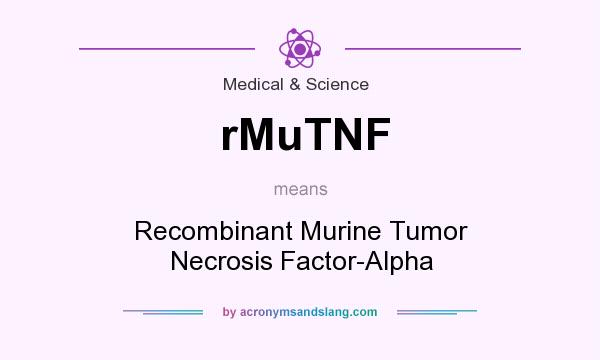 What does rMuTNF mean? It stands for Recombinant Murine Tumor Necrosis Factor-Alpha