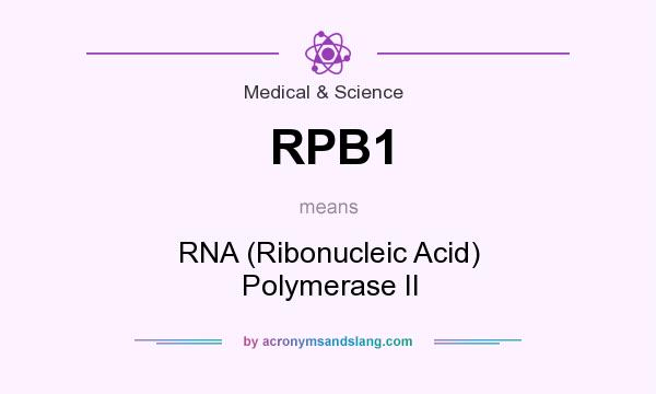 What does RPB1 mean? It stands for RNA (Ribonucleic Acid) Polymerase II