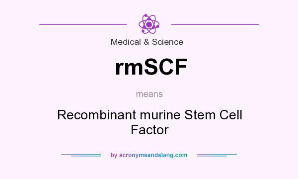 What does rmSCF mean? It stands for Recombinant murine Stem Cell Factor