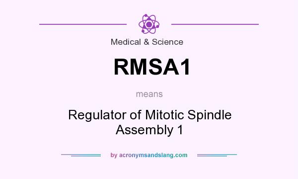 What does RMSA1 mean? It stands for Regulator of Mitotic Spindle Assembly 1