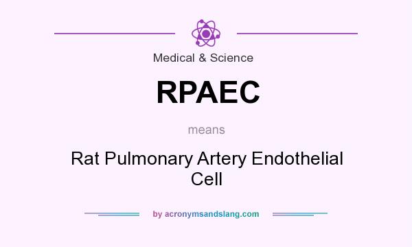 What does RPAEC mean? It stands for Rat Pulmonary Artery Endothelial Cell
