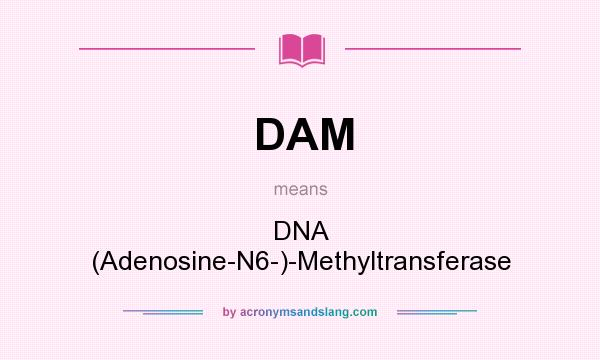 What does DAM mean? It stands for DNA (Adenosine-N6-)-Methyltransferase