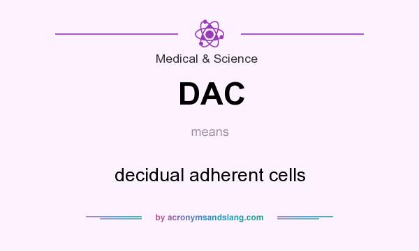 What does DAC mean? It stands for decidual adherent cells