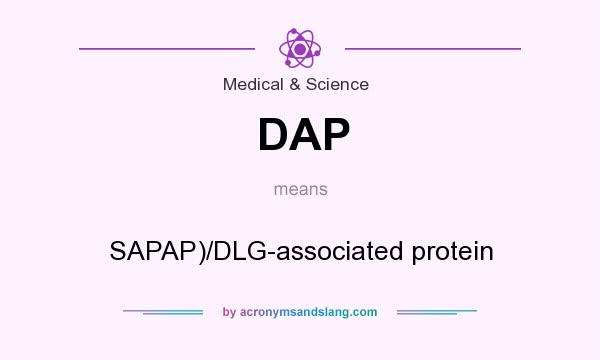 What does DAP mean? It stands for SAPAP)/DLG-associated protein
