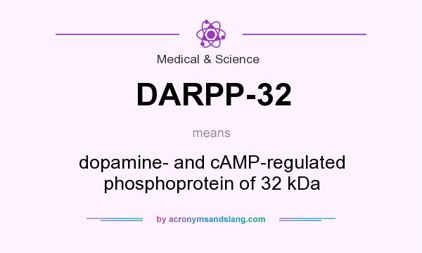 What does DARPP-32 mean? It stands for dopamine- and cAMP-regulated phosphoprotein of 32 kDa