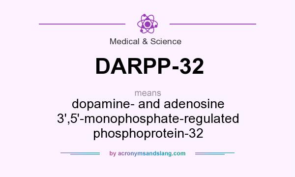What does DARPP-32 mean? It stands for dopamine- and adenosine 3`,5`-monophosphate-regulated phosphoprotein-32