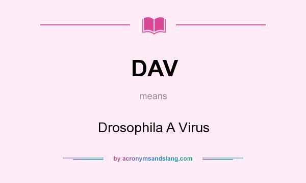 What does DAV mean? It stands for Drosophila A Virus