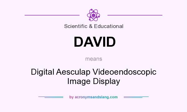 What does DAVID mean? It stands for Digital Aesculap Videoendoscopic Image Display