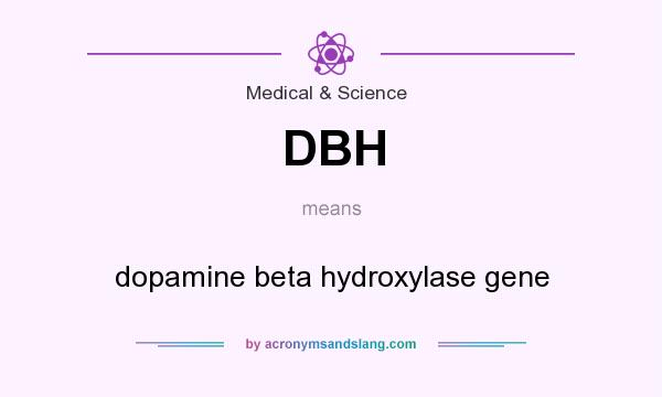 What does DBH mean? It stands for dopamine beta hydroxylase gene