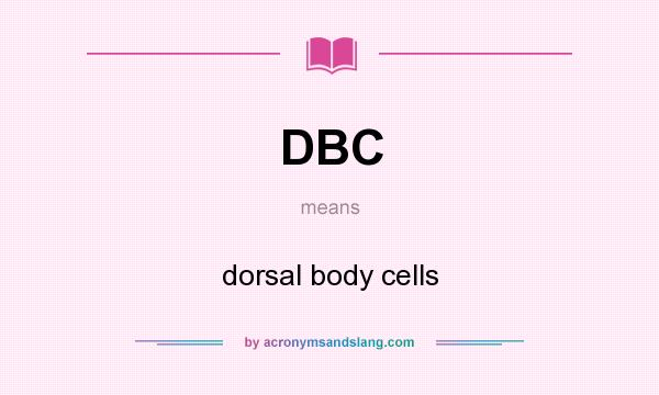 What does DBC mean? It stands for dorsal body cells