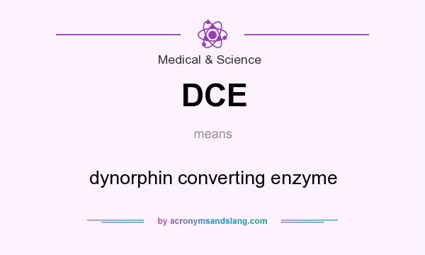 What does DCE mean? It stands for dynorphin converting enzyme
