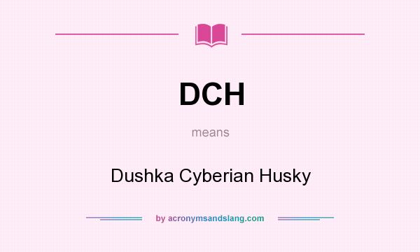 What does DCH mean? It stands for Dushka Cyberian Husky