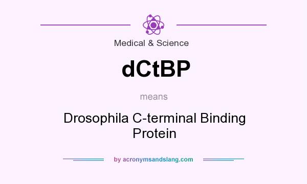 What does dCtBP mean? It stands for Drosophila C-terminal Binding Protein