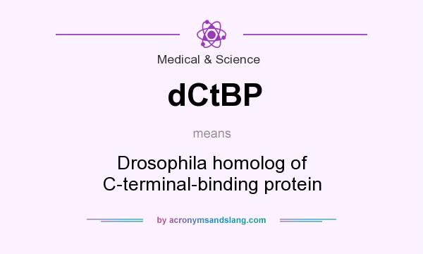 What does dCtBP mean? It stands for Drosophila homolog of C-terminal-binding protein