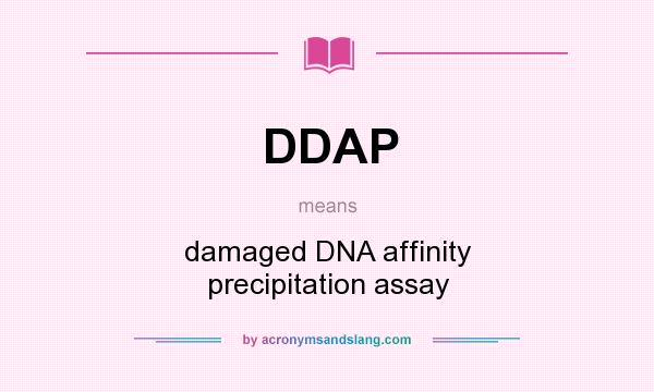 What does DDAP mean? It stands for damaged DNA affinity precipitation assay