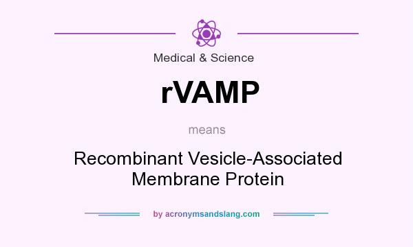What does rVAMP mean? It stands for Recombinant Vesicle-Associated Membrane Protein
