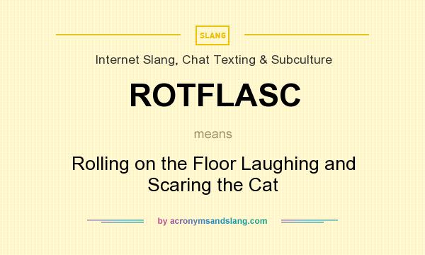 What does ROTFLASC mean? It stands for Rolling on the Floor Laughing and Scaring the Cat
