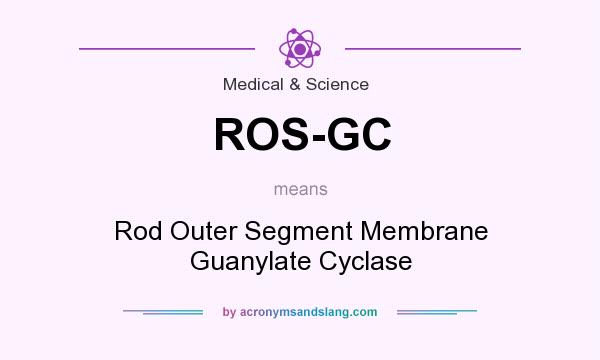 What does ROS-GC mean? It stands for Rod Outer Segment Membrane Guanylate Cyclase