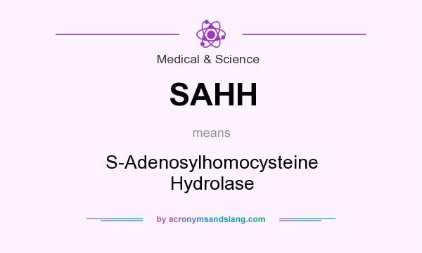 What does SAHH mean? It stands for S-Adenosylhomocysteine Hydrolase