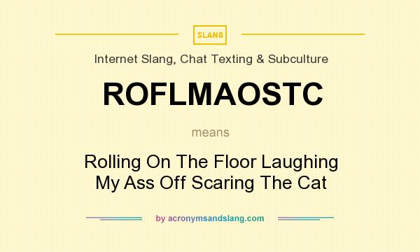What does ROFLMAOSTC mean? It stands for Rolling On The Floor Laughing My Ass Off Scaring The Cat