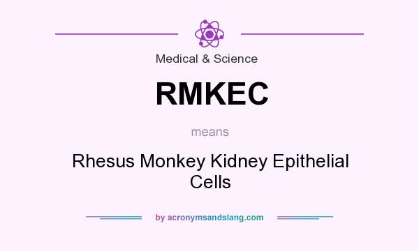 What does RMKEC mean? It stands for Rhesus Monkey Kidney Epithelial Cells