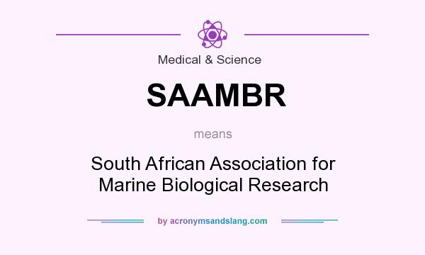 What does SAAMBR mean? It stands for South African Association for Marine Biological Research
