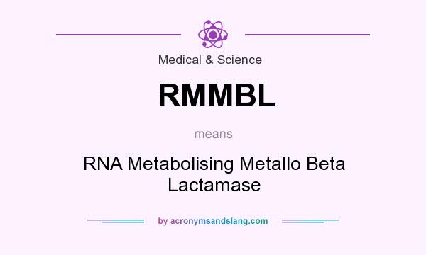What does RMMBL mean? It stands for RNA Metabolising Metallo Beta Lactamase