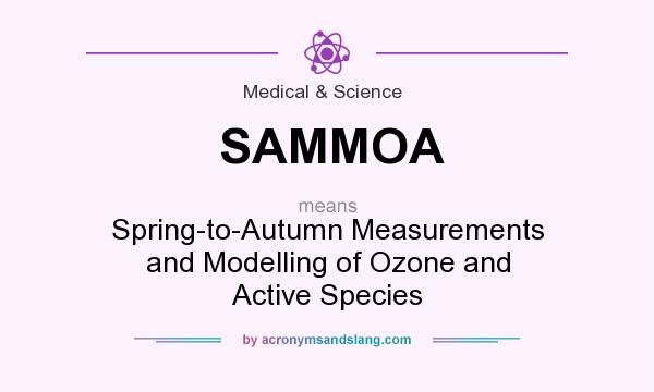 What does SAMMOA mean? It stands for Spring-to-Autumn Measurements and Modelling of Ozone and Active Species