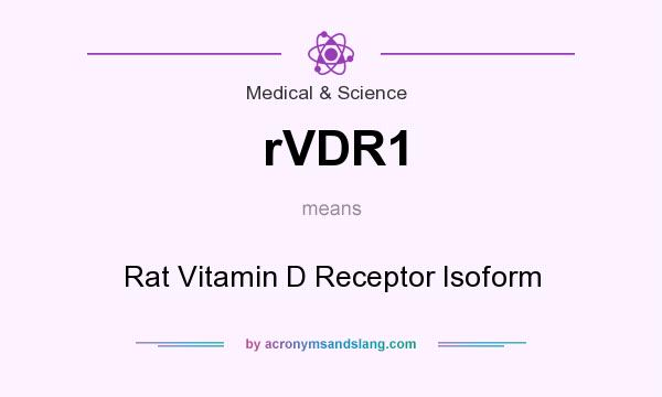 What does rVDR1 mean? It stands for Rat Vitamin D Receptor Isoform