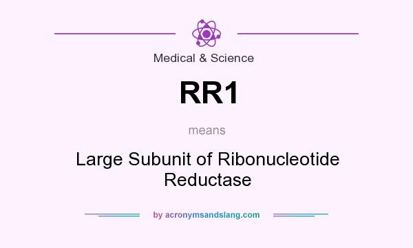What does RR1 mean? It stands for Large Subunit of Ribonucleotide Reductase