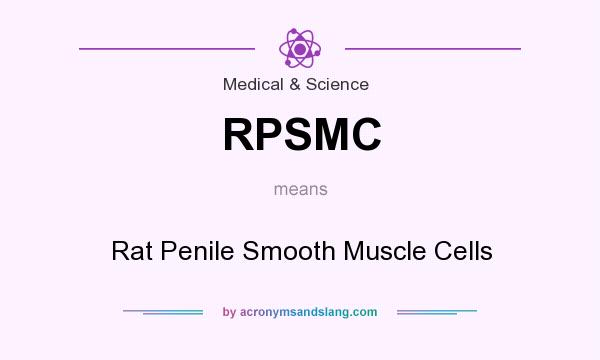 What does RPSMC mean? It stands for Rat Penile Smooth Muscle Cells