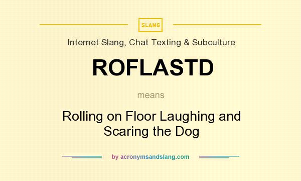 What does ROFLASTD mean? It stands for Rolling on Floor Laughing and Scaring the Dog