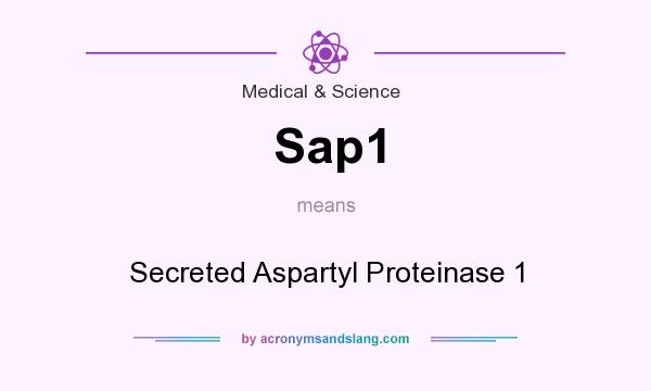 What does Sap1 mean? It stands for Secreted Aspartyl Proteinase 1