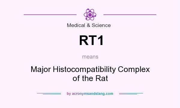 What does RT1 mean? It stands for Major Histocompatibility Complex of the Rat
