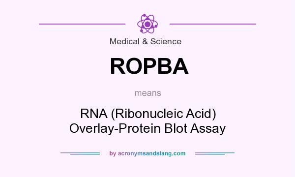 What does ROPBA mean? It stands for RNA (Ribonucleic Acid) Overlay-Protein Blot Assay