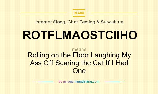 What does ROTFLMAOSTCIIHO mean? It stands for Rolling on the Floor Laughing My Ass Off Scaring the Cat If I Had One