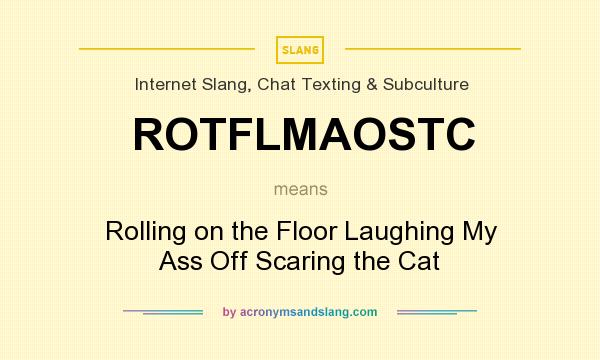 What does ROTFLMAOSTC mean? It stands for Rolling on the Floor Laughing My Ass Off Scaring the Cat