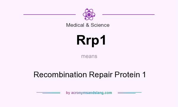 What does Rrp1 mean? It stands for Recombination Repair Protein 1