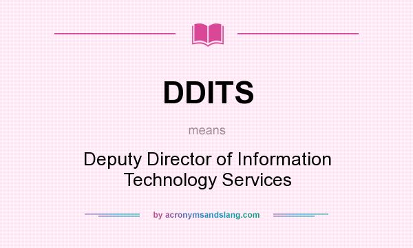 What does DDITS mean? It stands for Deputy Director of Information Technology Services
