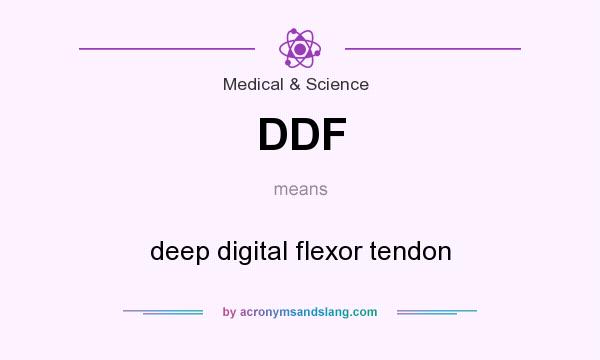 What does DDF mean? It stands for deep digital flexor tendon