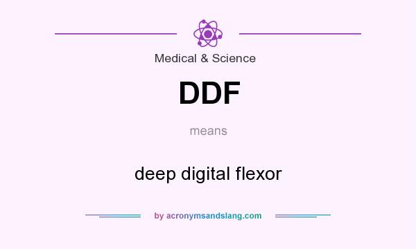 What does DDF mean? It stands for deep digital flexor