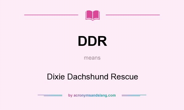 What does DDR mean? It stands for Dixie Dachshund Rescue