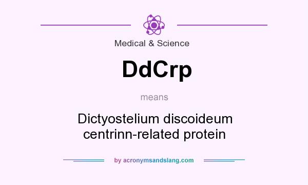 What does DdCrp mean? It stands for Dictyostelium discoideum centrinn-related protein
