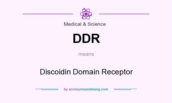 What does DDR mean? It stands for Discoidin Domain Receptor