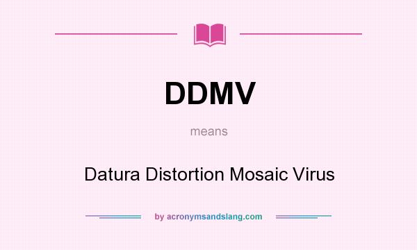 What does DDMV mean? It stands for Datura Distortion Mosaic Virus