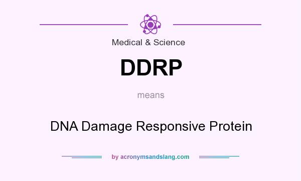 What does DDRP mean? It stands for DNA Damage Responsive Protein
