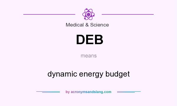 What does DEB mean? It stands for dynamic energy budget