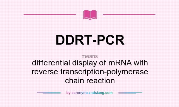What does DDRT-PCR mean? It stands for differential display of mRNA with reverse transcription-polymerase chain reaction